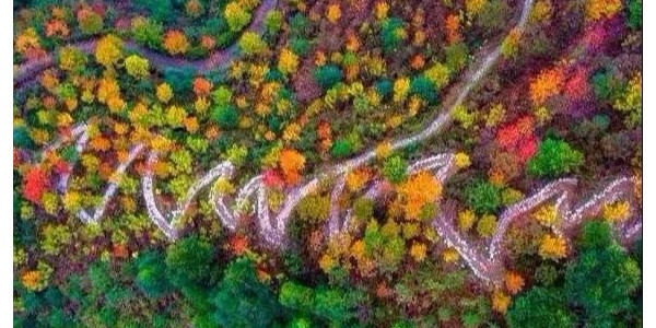 鄉(xiāng)村振興需避免這15個(gè)雷區(qū)！