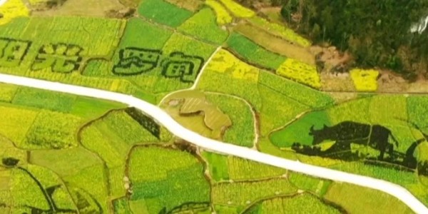 土地的涅槃｜全域土地綜合整治為何爆火？設(shè)計(jì)院如何搶占風(fēng)口？