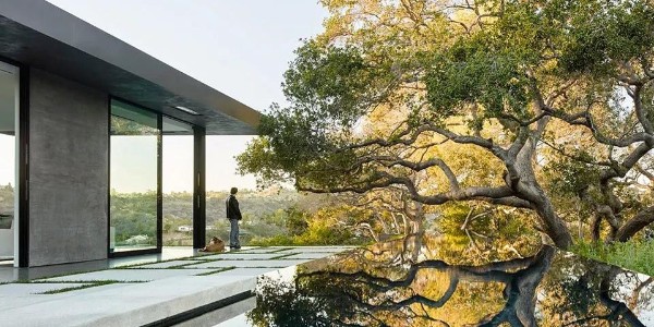 會(huì)種樹(shù)，讓設(shè)計(jì)具有高級(jí)感！