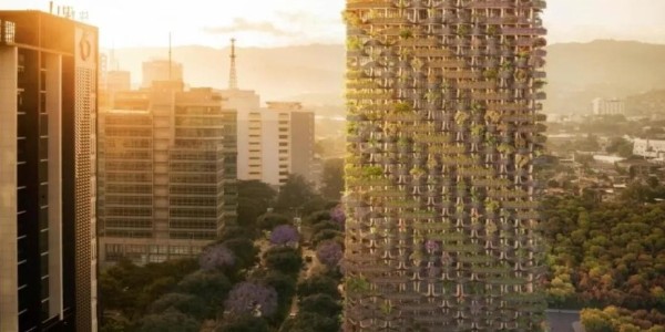 這才叫綠色建筑！用木頭代替鋼筋水泥，30000多植物栽在陽臺！